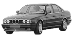 BMW E34 P1406 Fault Code